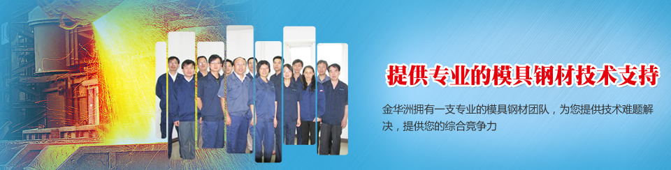 金華洲提供專業(yè)的模具鋼材技術支持